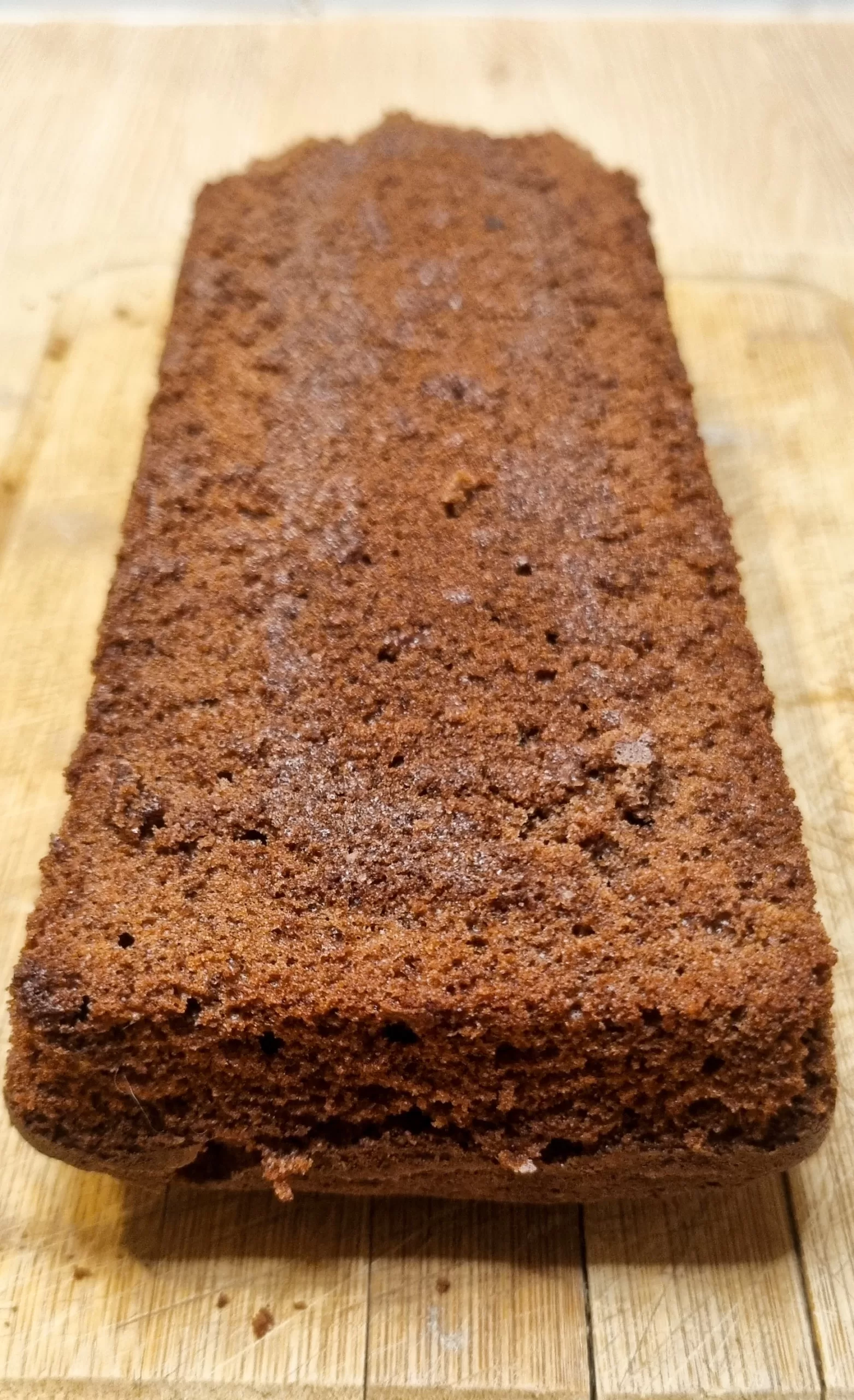Biscuit madeleine au chocolat pour entremets